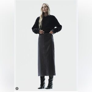 Zara Iridescent Midi Skirt